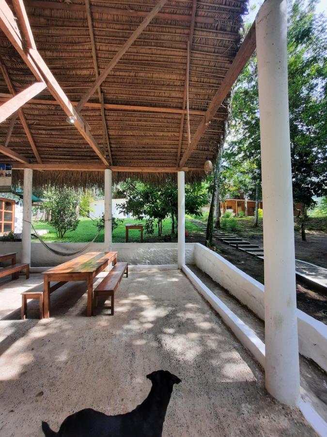 Pachamaya River Hostel Lanquín Eksteriør billede