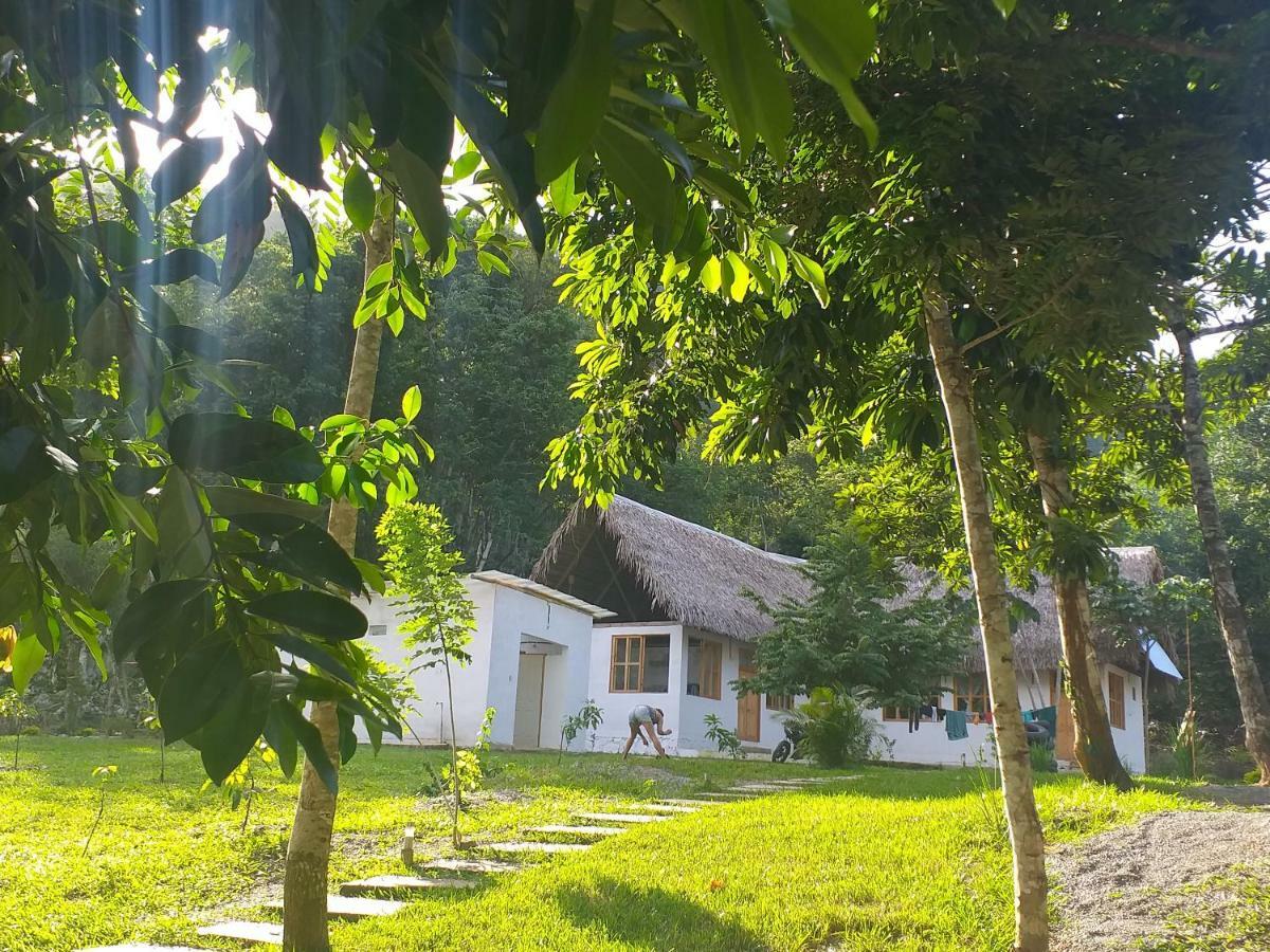 Pachamaya River Hostel Lanquín Eksteriør billede