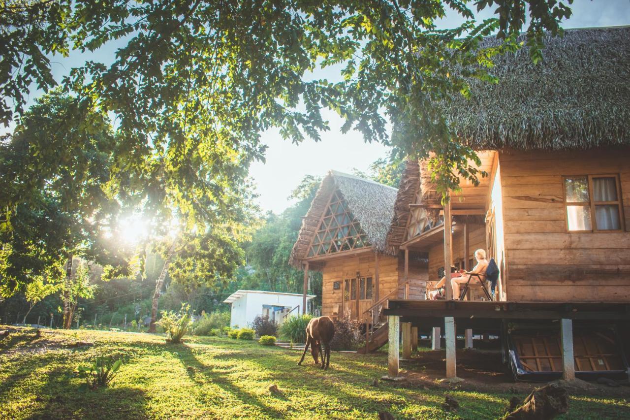 Pachamaya River Hostel Lanquín Eksteriør billede